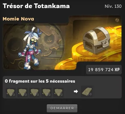 guide chasses aux trésors dofus