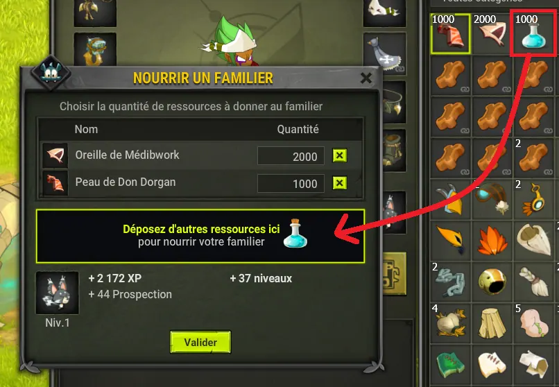 Nourrir un familier ou montilier