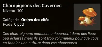 quête Apprentissage Écuyer