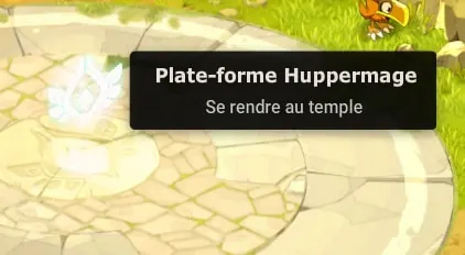 Vol du Temps