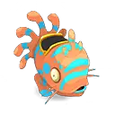 Muldo Corail et Aigue-marine