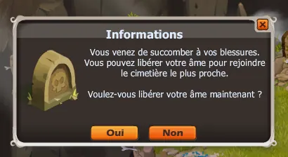 La vie après la mort