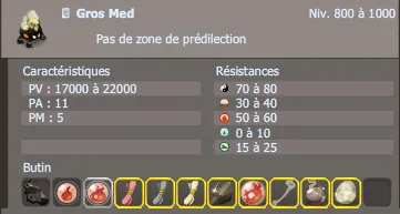 gros med dofus
