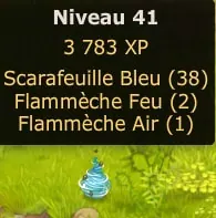 Donjon des Scarafeuilles dofus