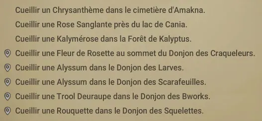 quête Le pouvoir des fleurs