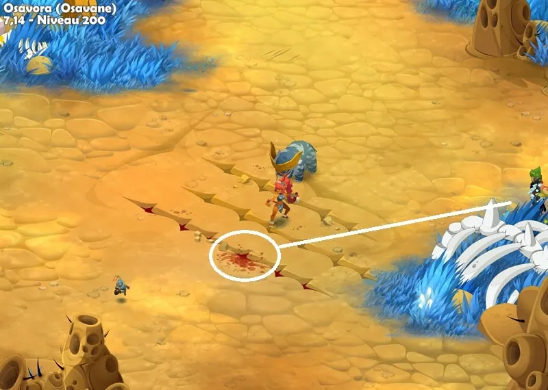 quête Le gourmet solitaire dofus