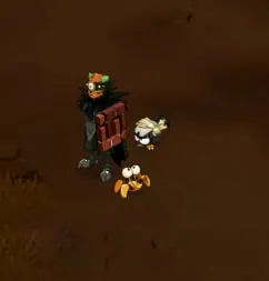 île de pwâk dofus