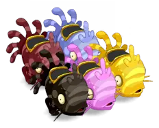 les muldos dofus