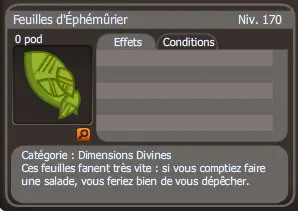 feuille d'éphémûrier
