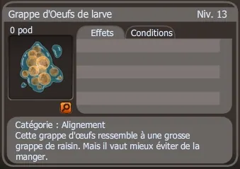 grappe d'oeufs de larve