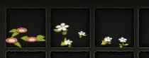 Présentation de la màj 2.71 dofus