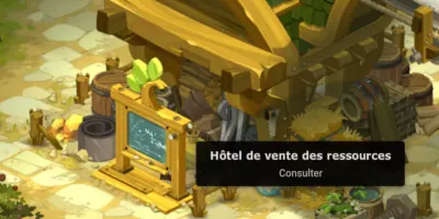 mise à jour 2.46 dofus