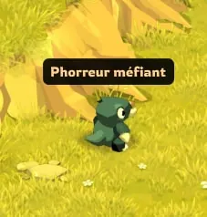 guide chasses aux trésors dofus