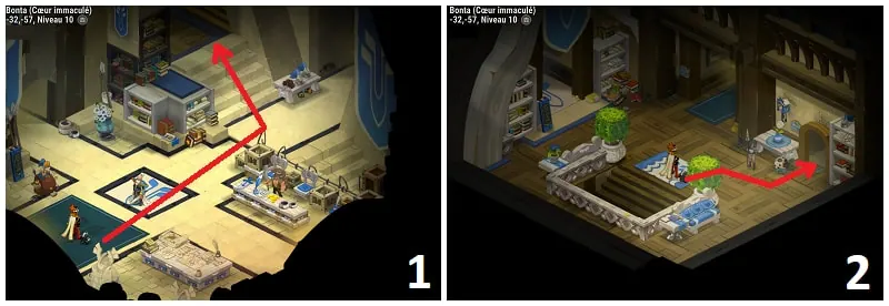quête Le décès de Rimaraf dofus
