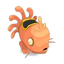 Muldo Corail