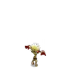 succès spécial dofus