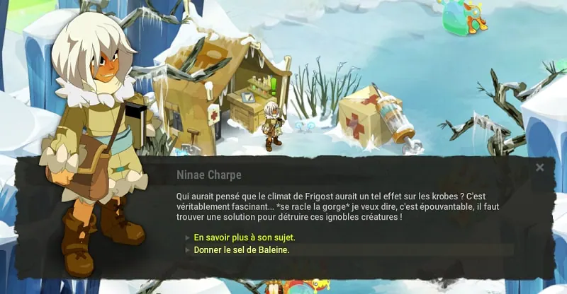quête Je panse donc j'essuie dofus
