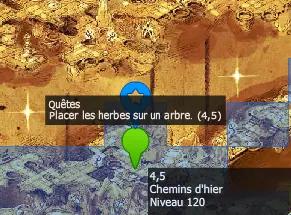 Anomalies temporelles dofus
