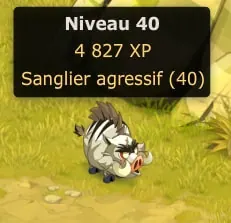 quête Un sanglier un peu trop agressif
