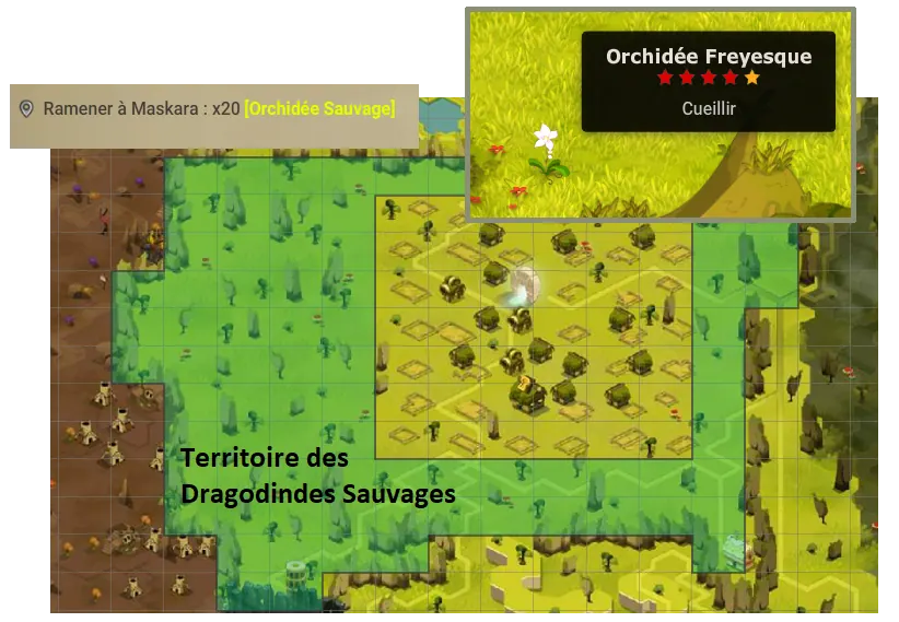 quête Des fleurs épineuses dofus