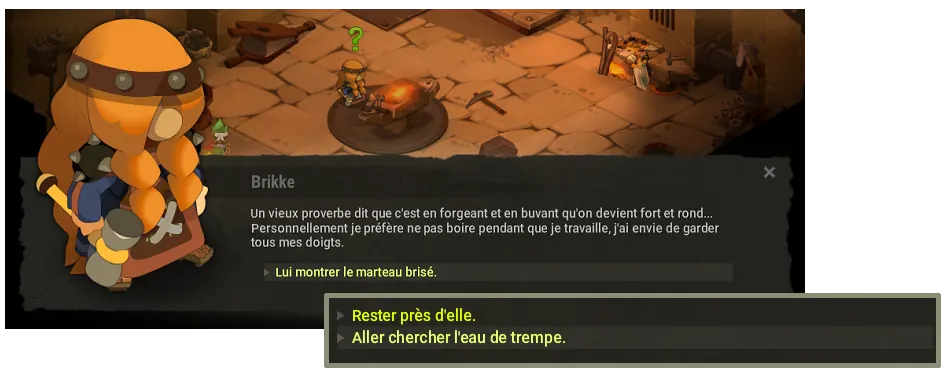 quête De Brikke et de Brokke dofus