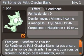 fantôme de familier