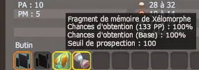 fragment de mémoire de xélomorphe