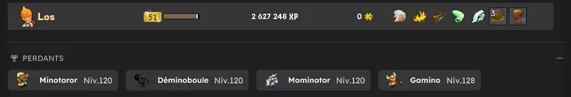 guide chasses aux trésors dofus