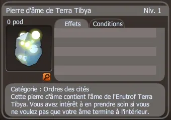pierre d'âme de terra tibya