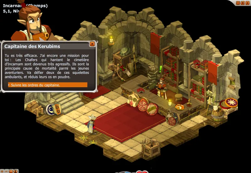 Service commandé : Chafers dofus