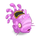 Muldo Orchidée