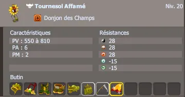 tournesol affamé