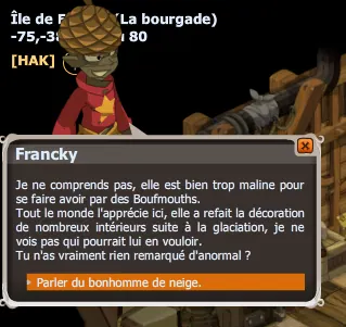 Bricole Girl