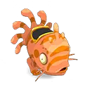 Muldo Corail et Roux