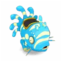Muldo Turquoise et Amande