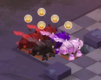 les volkornes dofus