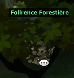 cours forestiere