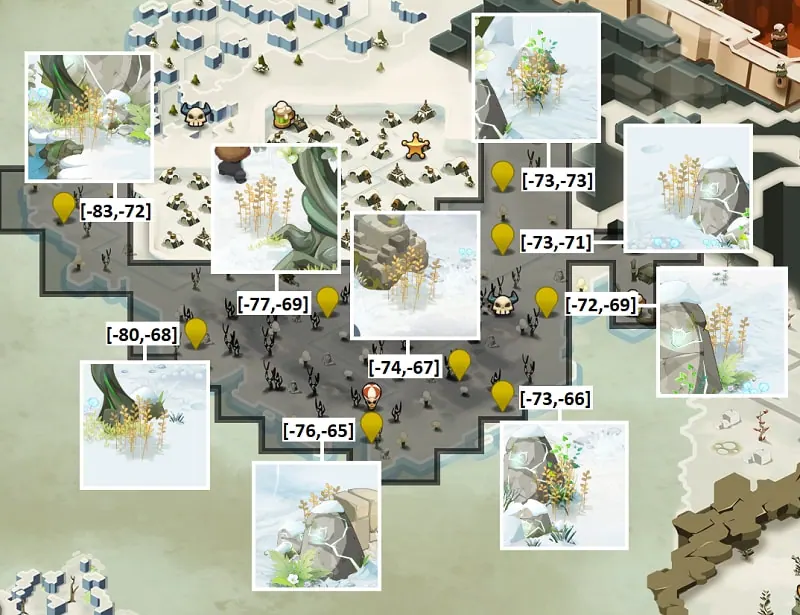 graine de vesce dofus