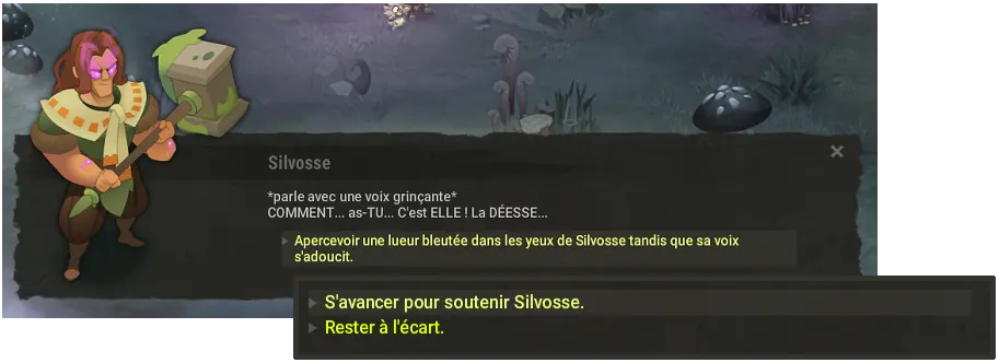 quête Qui nous protège du Protecteur dofus
