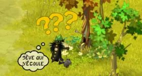 outils dofus
