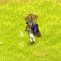 guide Fête de la Fanfon dofus