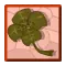 malédiction de la Fin Patraque dofus