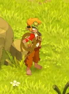 Guide de l'éleveur dofus 3.5