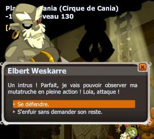 Comment perdre ses plumes
