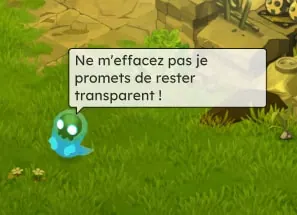 Présentation de la mise à jour 3.3 dofus