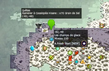 Mettre son grain de sel dofus