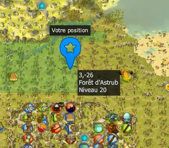 Pleur Nycheuz dofus