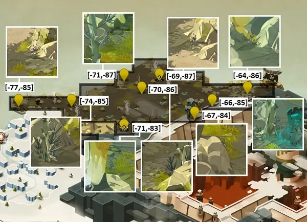 graine haye dofus