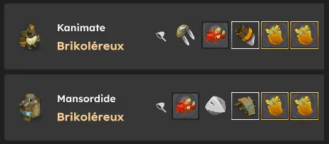Drop rare fragments cartes dofus