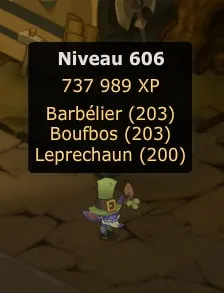 guide Fin Patraque dofus